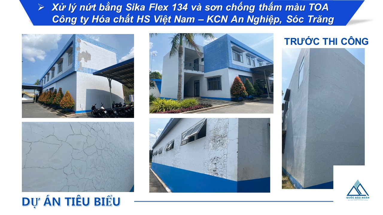 Dự án
