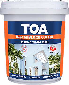 Chống thấm màu Toa WaterBlock Color 20Kg
